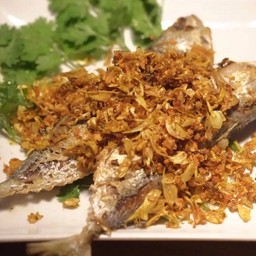 ข้าวปลาทูสดทอดกระเทียมพริกไทย2ตัว+น้ำปลาเปรี้ยว (ไม่แกะเนื้อ)