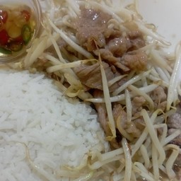 ผัดถั่วงอกหมูชิ้นราดข้าว