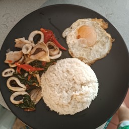 ข้าวกะเพราหมึก  +ไข่ดาว