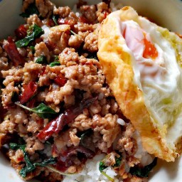 กระเพรา กระเพรา อร่อย