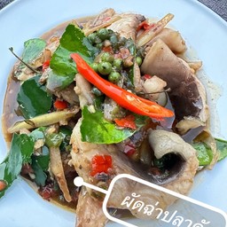ผัดฉ่าปลาคัง
