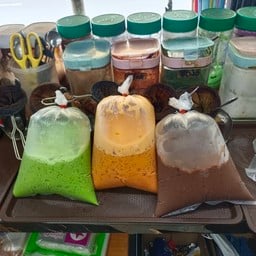 เเดงมะนาวโซดา ถุง Red lemon soda 红柠檬汽水