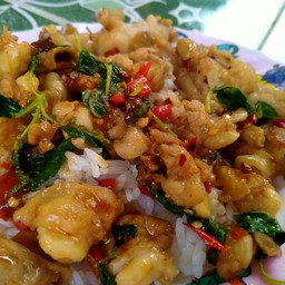 กระเพราเอ็นไก่