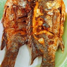 ปลานิลทอดตัวละ90บาท