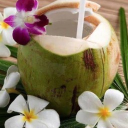 น้ำมะพร้าว COCONUT WATER