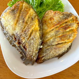 ปลาสลิดทอด