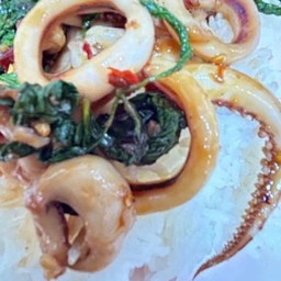 กะเพราปลาหมึก ราดข้าว