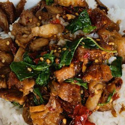 กะเพราหมูกรอบกับ