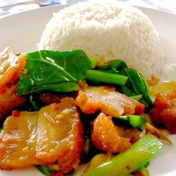 ข้าวคะน้าหมูกรอบ