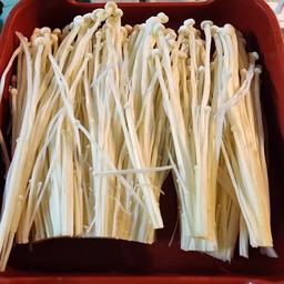 เห็ดเข็มทอง