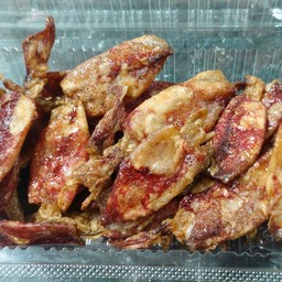 ปลาหมึกกะตอย