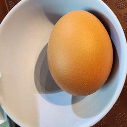 ไข่ไก่
