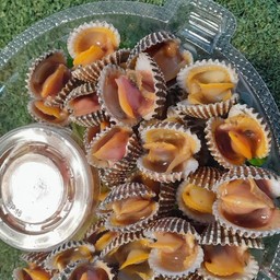 หอยแครงลวก