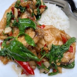 ข้าวราดกระเพราปลากระพง