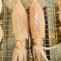 หมึกอาเจนย่าง ( XL)