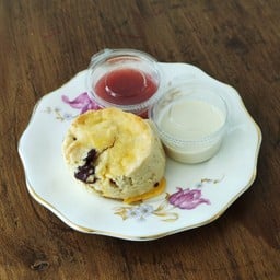 SCONE
