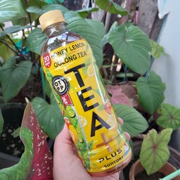 ชาอู่หลง น้ำผึ้งมะนาว 490 มล.