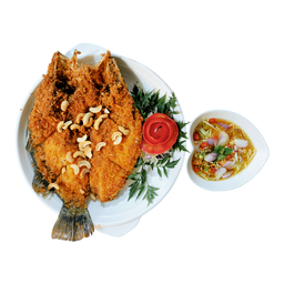 ปลากระพงแดดเดียว(ตัว)