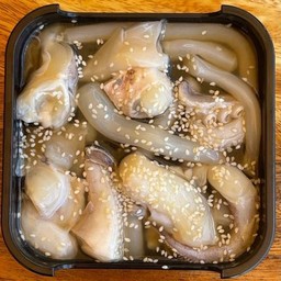 ปลาหมึกหนวด