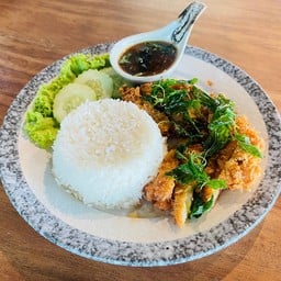 ข้าวไก่กรอบซอสกระเพรา