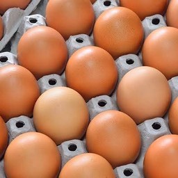 ไข่ไก่(วันนี้เบอร์.1)