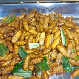 ดักแด้ทอด