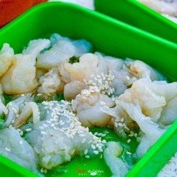 แมงกะพรุน