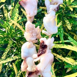 ไก่ปิ้ง & หมึกย่าง ช.เป้ ซอย 7