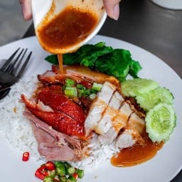 ต้องกมลโภชนา(สาขาต้นยาง) ต้นยาง