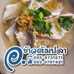 อ.ข้าวต้มปลา หนามแดง