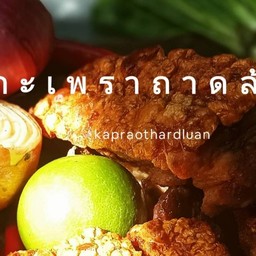 🌶️กะเพราถาด🌶️