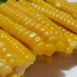 เพิ่มข้าวโพด