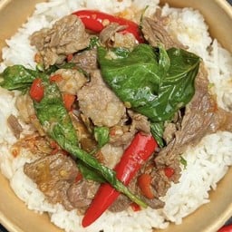 ข้าวเนื้อผัดโหระพา