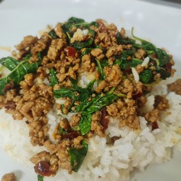 กะเพราห่อโบราณ บัณฑิต