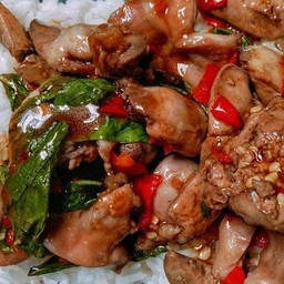 กระเพราเครื่องในไก่ เป็นกับ