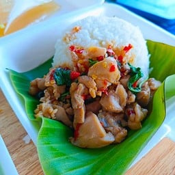 ข้าวราดกระเพราไก่