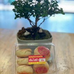 ขนมเปี๊ยะไส้ถั่ว