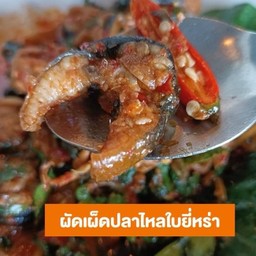 ผัดเผ็ดปลาไหล