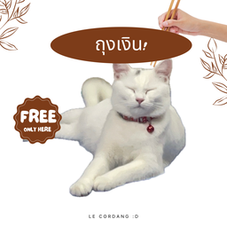 Le CorDang :D | ข้าวเหนียวหมูทอด ไก่ทอด อาหารเช้า