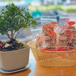 หนังปลาแซลมอนแท้ 100%