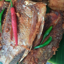 ปลาร้าทอด 1ตัว