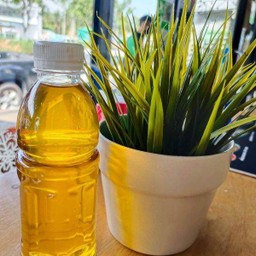 นำ้เก๊กฮวย