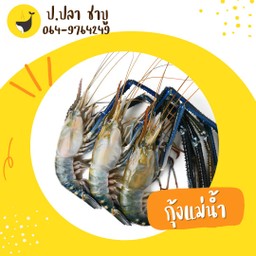 กุ้งแม่น้ำ