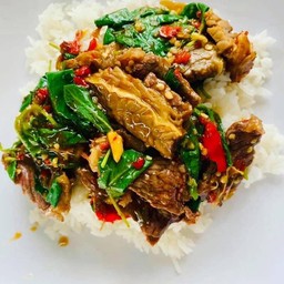 กระเพราเนื้อเปื่อย ราดข้าว