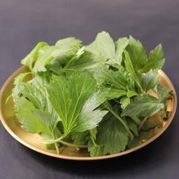 ผักจิงจูฉ่าย (เพิ่ม)