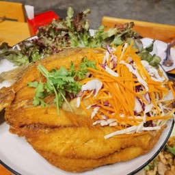 นิลทอดน้ำปลา-ตัว