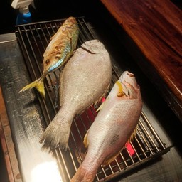 ปลาย่างประจำวัน3