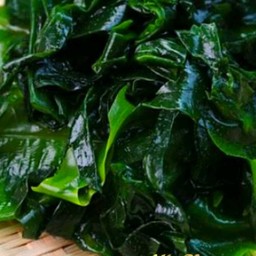 สาหร่ายวากาเมะ