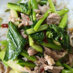 ผัดคะน้าหมูชิ้นราดข้าว