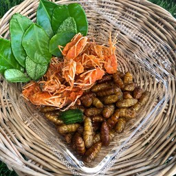 ไหมไทปะทะ กุ้งสุทธิราด(คางกุ้ง)